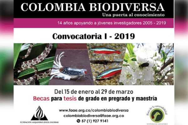 Participa en el fondo de becas Colombia Biodiversa