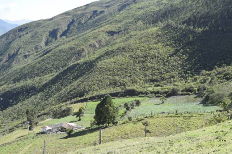 Palmira y Cerrito se renuevan como destinos turísticos de naturaleza para los vallecaucanos