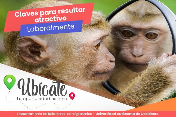 Claves para resultar atractivo laboralmente