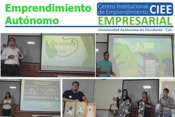 Ideas con desarrollo, futuros emprendimientos