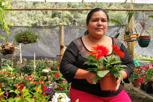 Vivero Asomutenjo en Nima