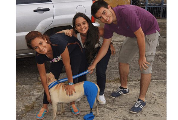 Ingenieros Autónomos aportan a la salud de las mascotas