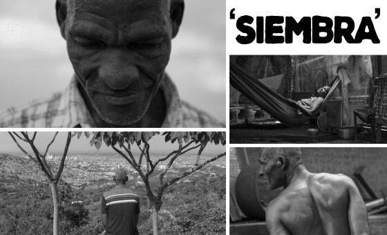 ‘Siembra’ de cine en las universidades
