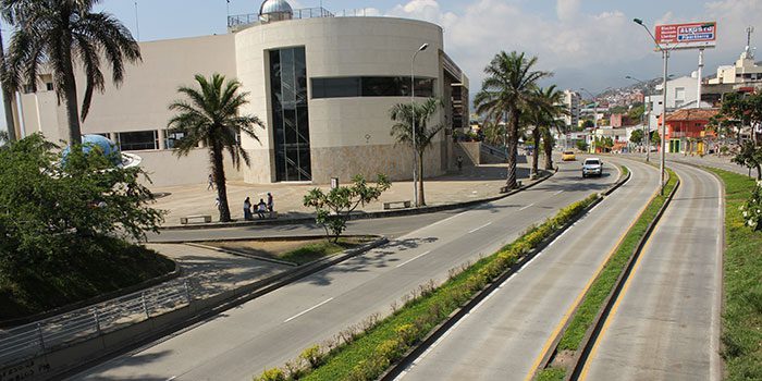 Encuesta de Percepción Ciudadana en Cali, 2013