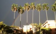 Palmeras arco iris UAO