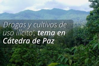 Octava Cátedra de Paz
