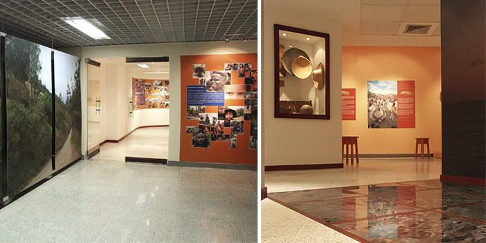 Museo Lilí