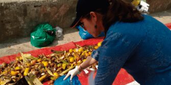 Caracterización de residuos sólidos