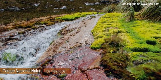 Visita el Parque Nacional Los Nevados