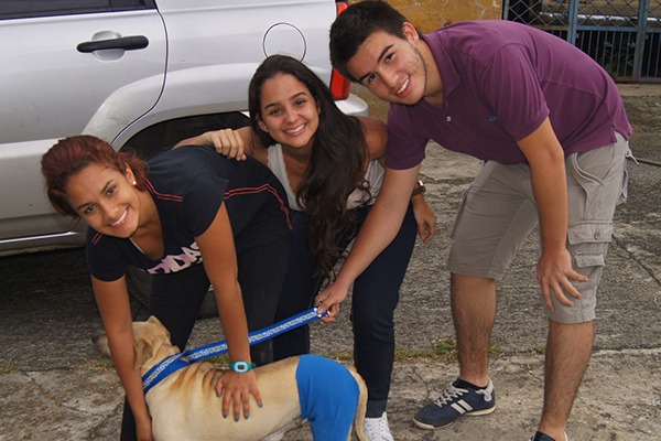 Estudiantes UAO ayudan animales