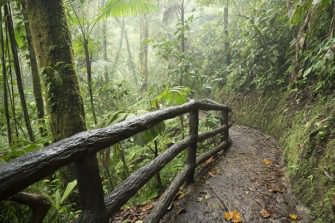 Aventura club de caminantes UAO