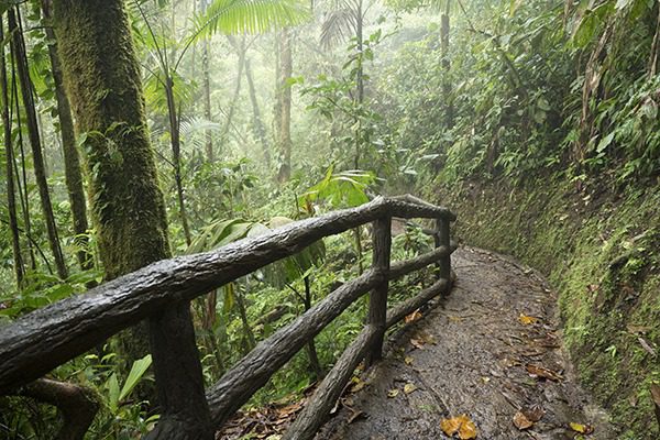 Aventura club de caminantes UAO