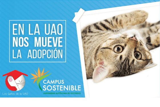 En la UAO nos mueve la adopción