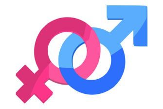 femenino_masculino